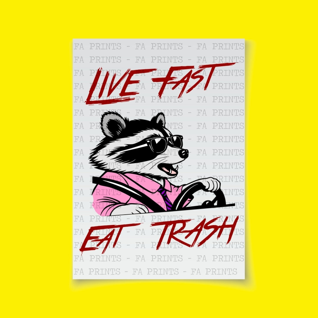 Live Fast Eat Trash | DTF Transfer