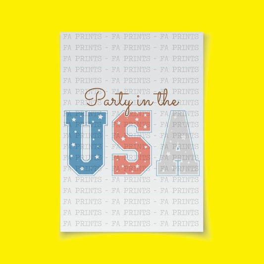 Party in the USA #4 | DTF Transfer